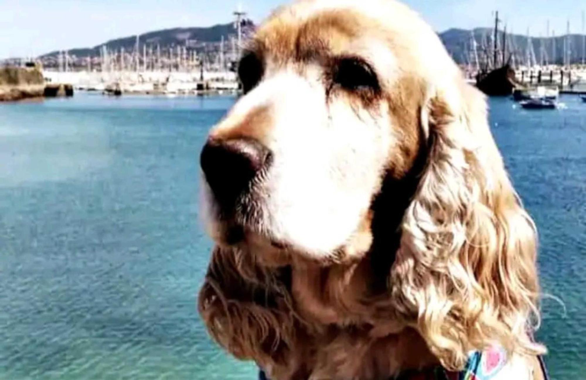 Appartamento Holibai, Andurina, Piso Vintage, Centrico, Acepta Mascotas, Baiona Esterno foto